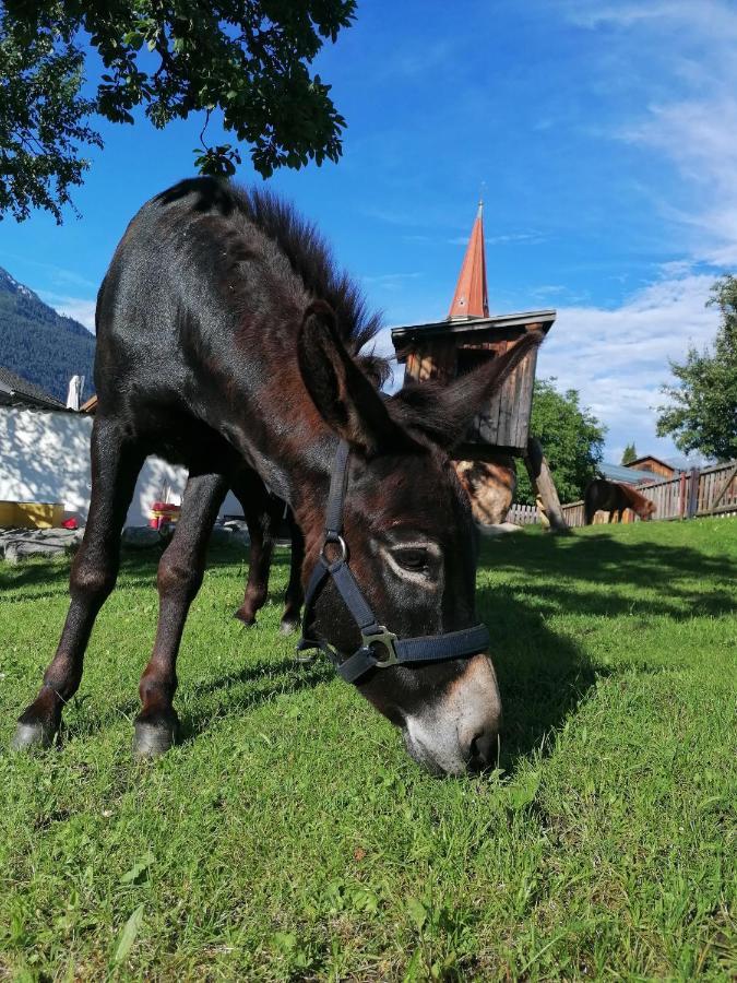 Kinderbauernhof Ierzerhof Arzl im Pitztal Exterior foto